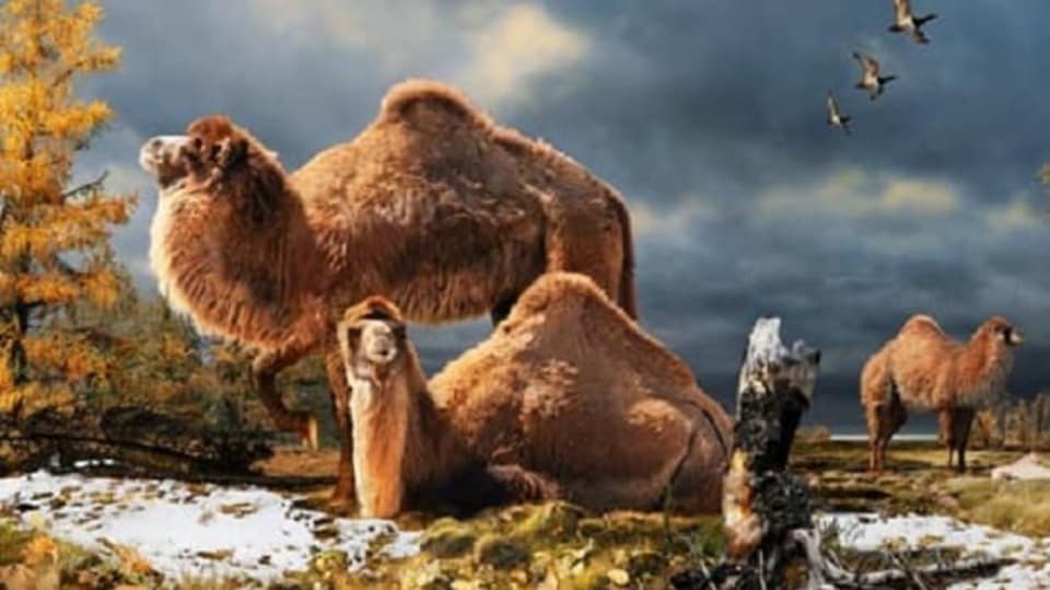 FOTO: Canadian Museum of Nature in Ontario
